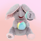 Peluche Éléphant Cache-cache – Le développement commence par le jeu